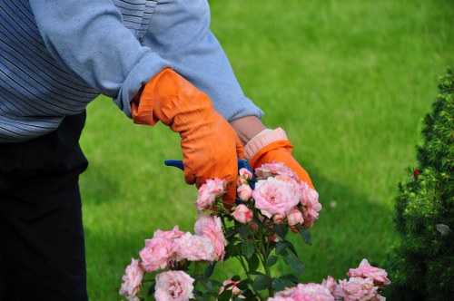 Inspector reviewing lawn maintenance records